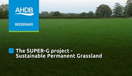 The SUPER-G project: Sustainable permanent grassland